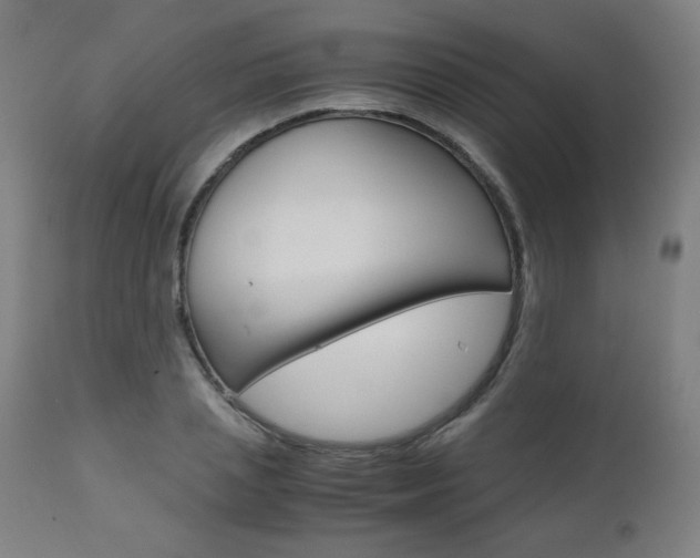 X0000110950837200906191113