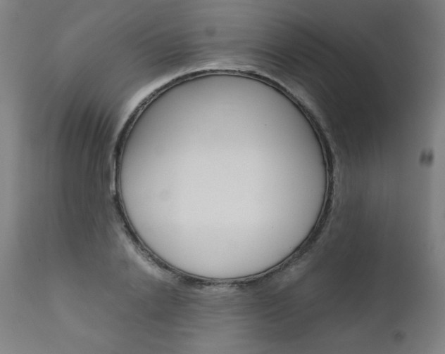 X0000110950838200906191113