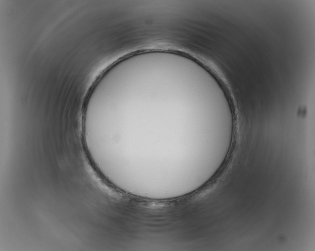 X0000110950839200906191113