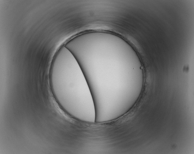 X0000110950840200906191113