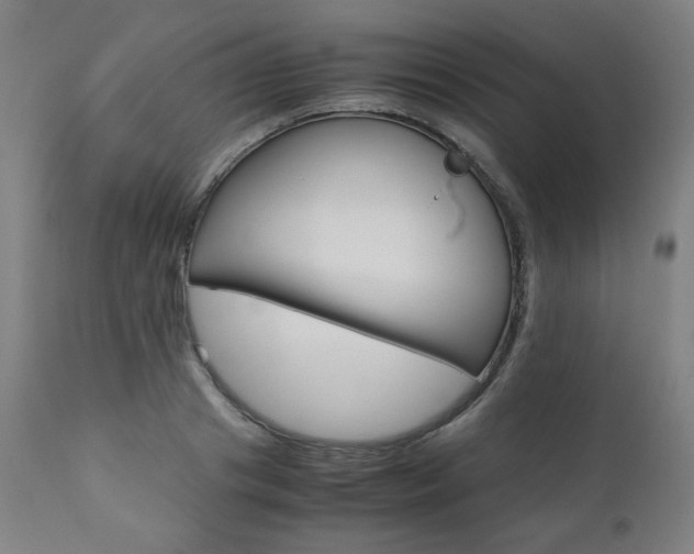 X0000110950841200906191113