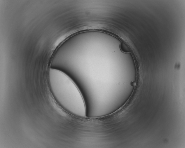 X0000110950842200906191113