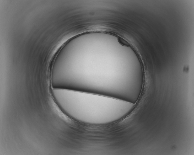 X0000110950843200906191113