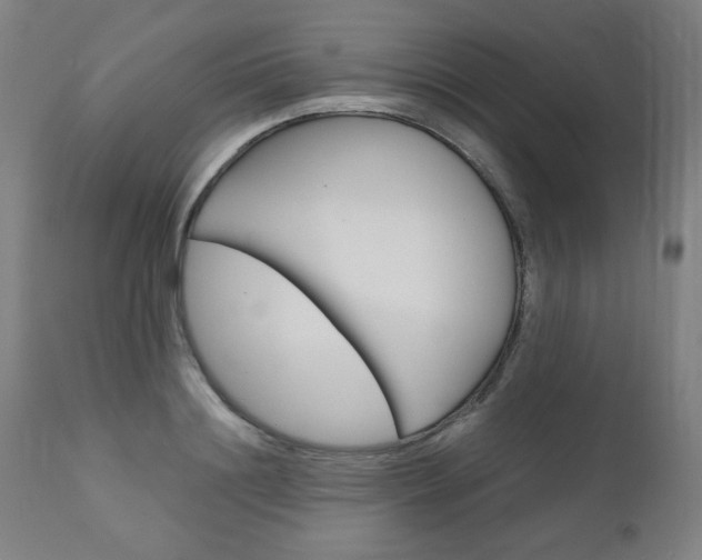X0000110950844200906191113
