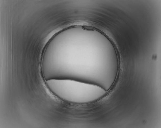 X0000110950845200906191113