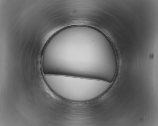 X0000110950846200906191113