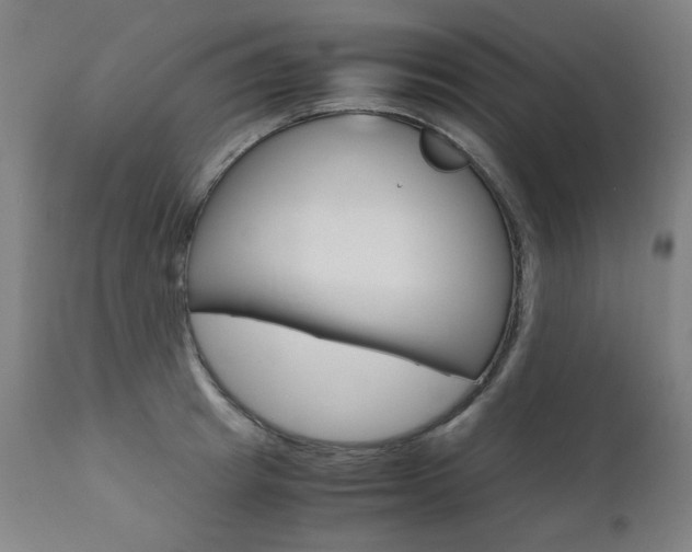 X0000110950849200906191113