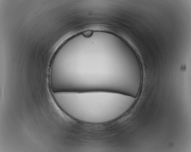 X0000110950853200906191113