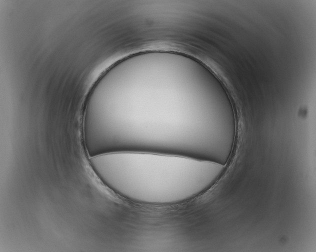 X0000110950854200906191113