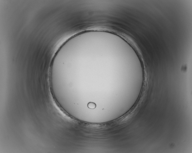 X0000110950855200906191113