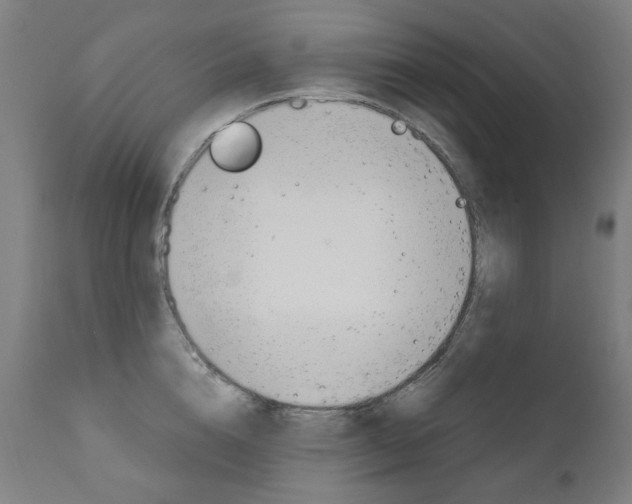 X0000110950856200906191113