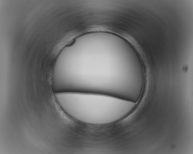 X0000110950857200906191113