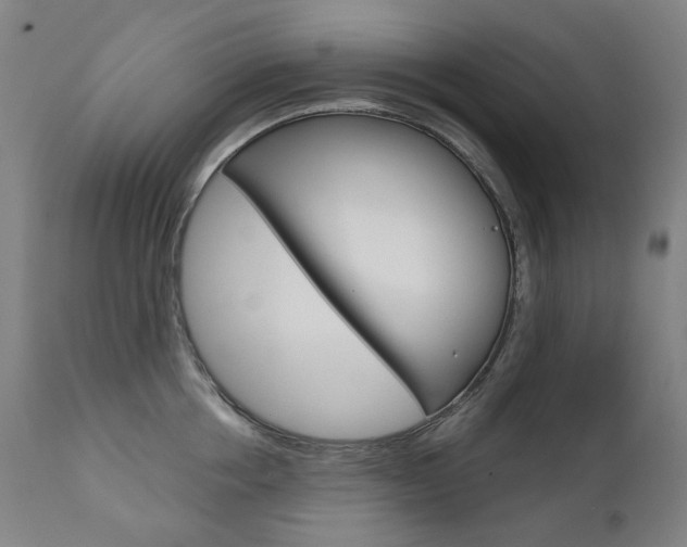 X0000110950858200906191113