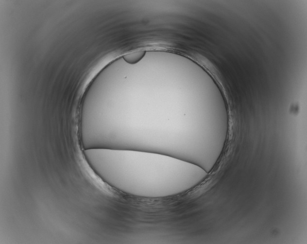 X0000110950859200906191113