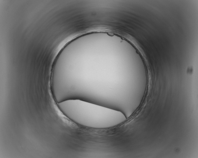 X0000110950861200906191113