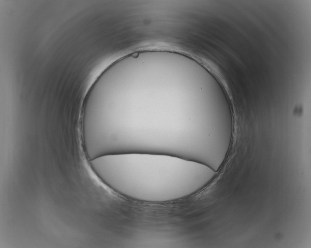X0000110950863200906191113