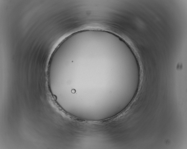 X0000110950864200906191113