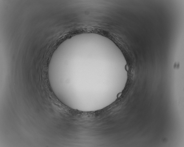 X0000110950865200906191112