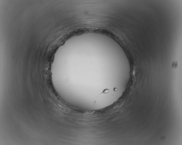 X0000110950867200906191112