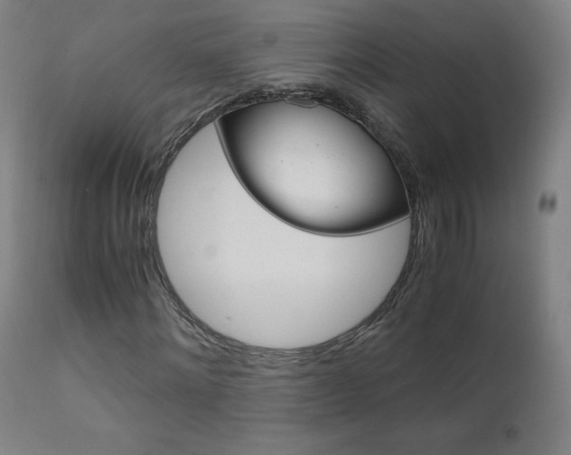 X0000110950868200906191112