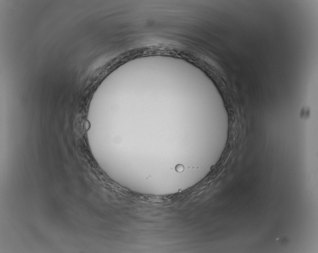 X0000110950869200906191112