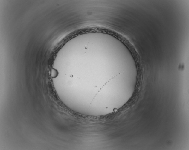 X0000110950871200906191112