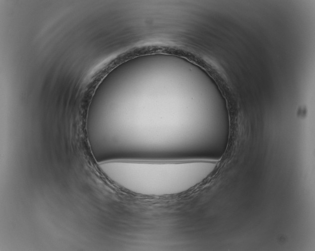 X0000110950872200906191112