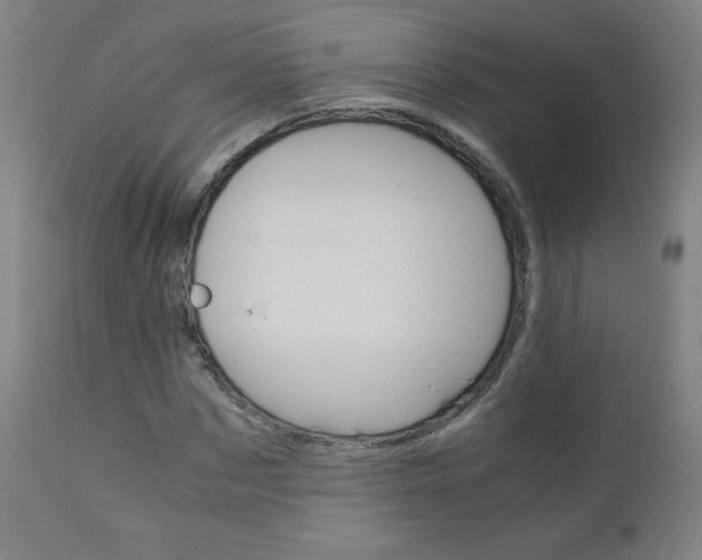 X0000110950873200906191112