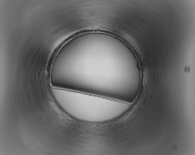 X0000110950876200906191112