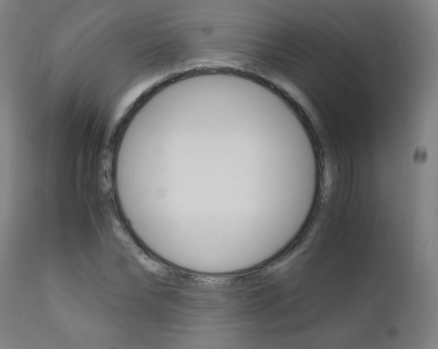 X0000110950878200906191112