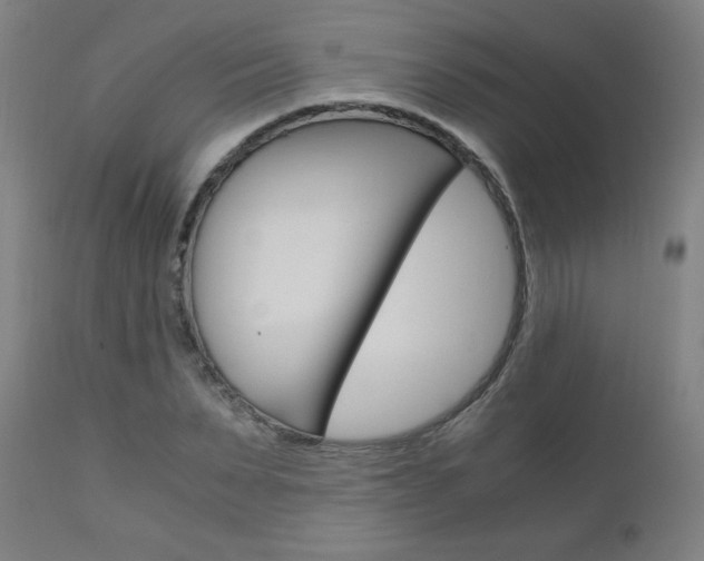 X0000110950879200906191112