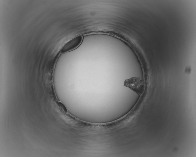 X0000110950881200906191112