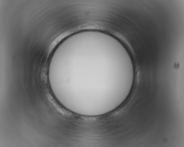 X0000110950882200906191112