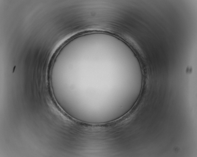 X0000110950884200906191112