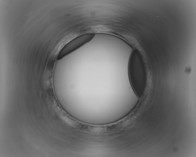 X0000110950889200906191112