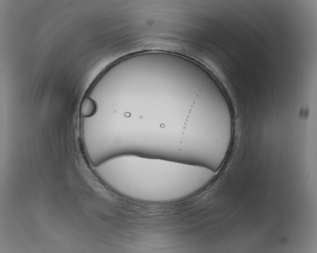 X0000110950891200906191112