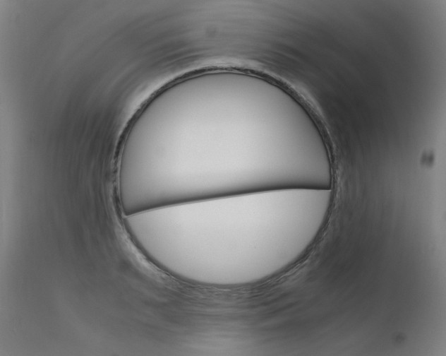 X0000110950895200906191112