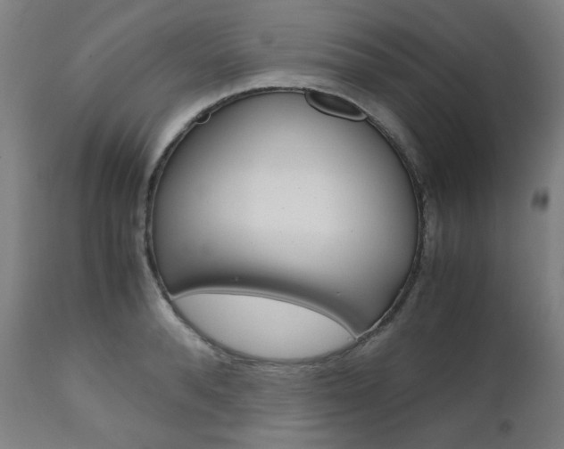 X0000110950896200906191112