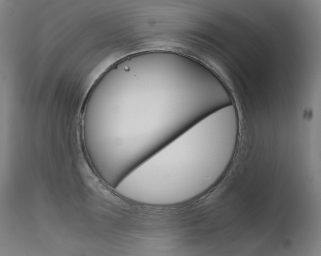 X0000110950899200906191112