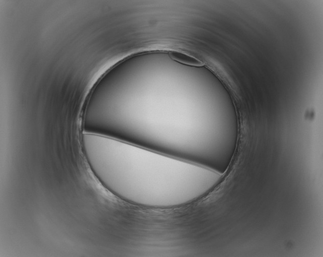X0000110950900200906191112