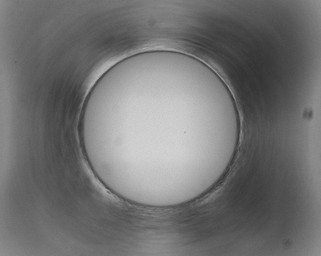 X0000110950901200906191112