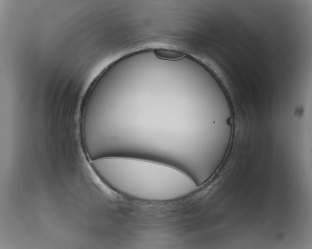 X0000110950902200906191112