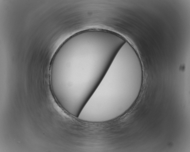X0000110950903200906191112