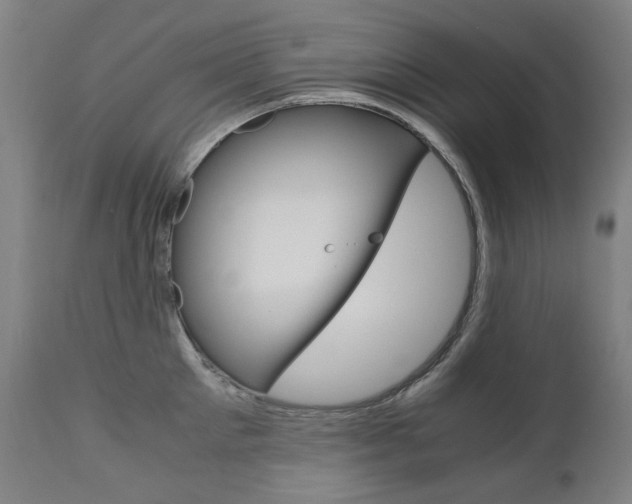 X0000110950905200906191112