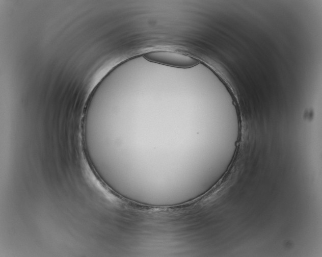 X0000110950906200906191112