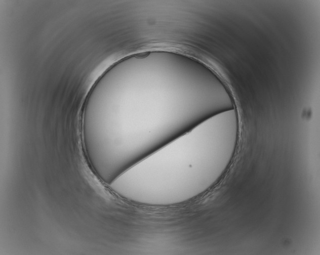 X0000110950907200906191112