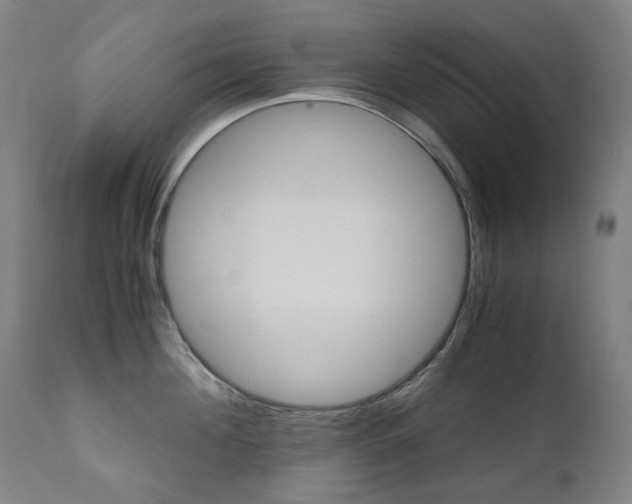 X0000110950908200906191112