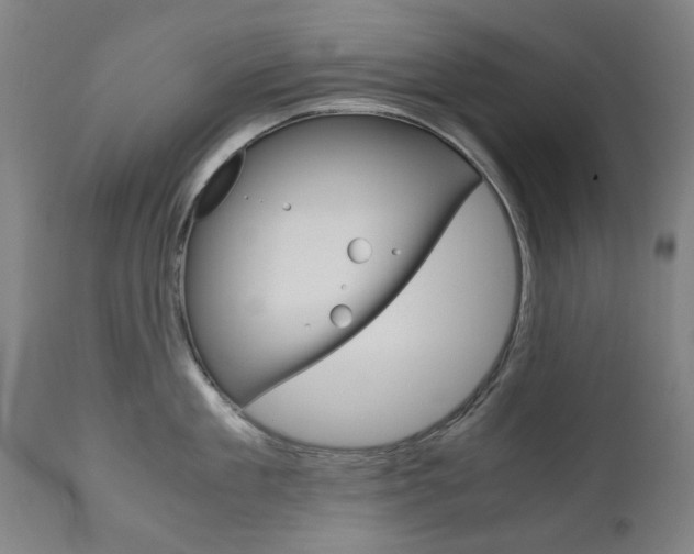 X0000110950909200906191112