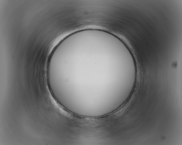 X0000110950910200906191112