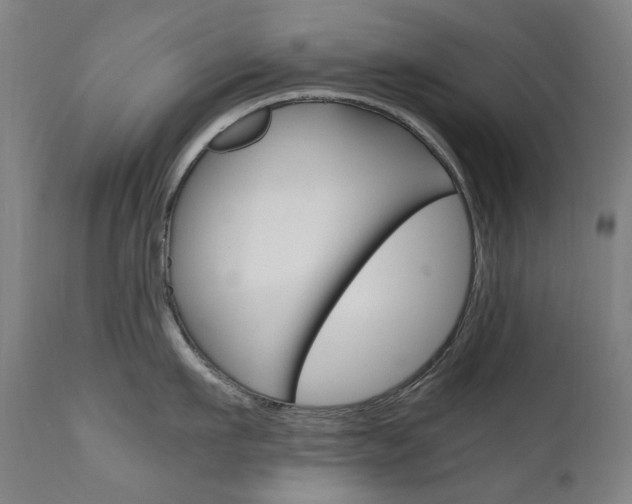 X0000110950911200906191112